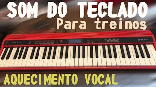 SOM DO TECLADO PARA TREINOS AQUECIMENTO VOCAL  AULA DE CANTO 1 [upl. by Niggem512]