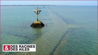 Le passage du Gois [upl. by Weisbrodt]