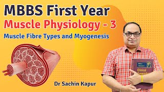 MBBS First Year  Muscle Physiology  Muscle Fibre Types and Myogenesis  Dr Sachin Kapur  AIIMS [upl. by Bink]