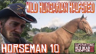 A Wild Hungarian Halfbred Location For Horseman 10 With Arthur in Red Dead Redemption 2 [upl. by Jojo]