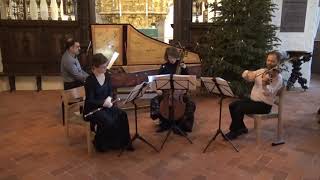 Couperin  Concert Royaux nr 1  Copenhagen Soloists [upl. by Willing]