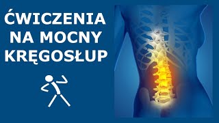 Ćwiczenia na stabilny i mocny kręgosłup  Stabilizacja głęboka kręgosłupa  Ćwiczenia CORE [upl. by Erdman710]