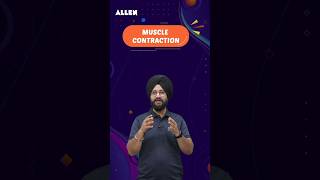 What is Muscle Contraction and how it works  Important for NEET 2024  ALLENNEET shorts [upl. by Eniron]