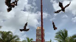 Costa Maya  Street Performers  Dance of the Flyers Ceremony  Danza de los Voladores [upl. by Nerot]