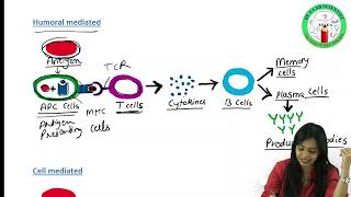 Antigen PART I  Types of Antigens  Immunogenicity  Antigenicity  Complete amp Incomplete Antigens [upl. by Cramer]