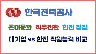 한국전력공사의 모든것 2편 직무전문성 꼰대문화 한전직원 수준 한전 강추 이유 등 [upl. by Leroi]