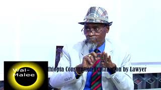 Ethiopia Constitution define by Lawyer [upl. by Torbert]