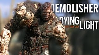 Dying Light The Following DLC  Both Ending Choices [upl. by Filia]