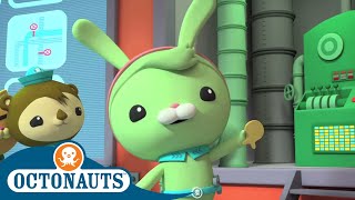 Octonauts  Delicious Fish Biscuits  Cartoons for Kids  Underwater Sea Education [upl. by Enwad]