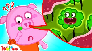 Why Are There Boogers in the Nose  Wolfoo Educational Videos for Kids 🤩 WolfooCanadaKidsCartoon [upl. by Matlick]