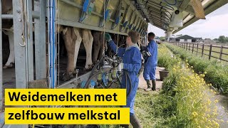 Melken in de weide met zelfbouw melkstal [upl. by Enicar]