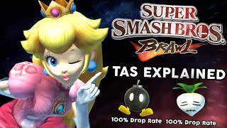 The Super Smash Bros Brawl TAS Is Incredible  Subspace Emissary 100 Explained [upl. by Ardnohs]