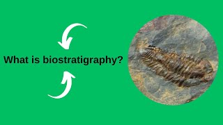 What is biostratigraphy [upl. by Tarrant]