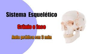 Todos os Ossos do Crânio  Aula Prática  Anatomia Humana [upl. by Honna]