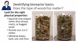 Module 10 Video 4 Does the Type of Woodchip Matter [upl. by Selia]