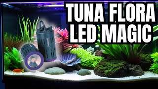 Kessil H160 Tuna Flora LED Refugium Light Unboxing Setup amp Review [upl. by Kosse]