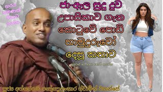 ජා ඇල quotසුදු දුවquot ගැන Kotuwe Podi Hamuduruwo කියපු හිනායන කතාව කොටුවේ පොඩි සාදු Kagama Sirinanda [upl. by Boykins]