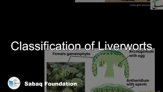 Classification Liverworts Biology Lecture  Sabaqpk [upl. by Manara255]