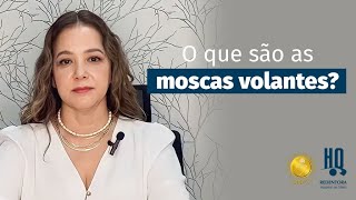 Moscas Volantes você sabe o que são [upl. by Martino131]