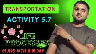 Activity 57  Transportation  Transportation in Human Beings  Class 10th Biology  life Processes [upl. by Enelrats759]