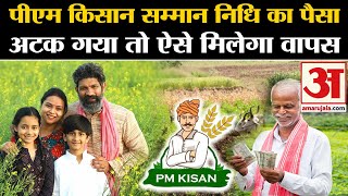 PM Kisan Samman Nidhi 17th Installment अटक गया पैसा तो ऐसे मिलेगा वापस  Kisan Samman Nidhi Yojana [upl. by Nnyltak]