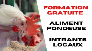 Comment Fabriquer Aliment Poules Pondeuses avec Intrants Locaux [upl. by Nava]