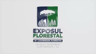 ExpoSul Florestal 2023 A Evolução da Codornada Florestal [upl. by Hajed]