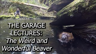 The Weird and Wonderful Beaver GARAGE LECTURE [upl. by Odnomyar506]