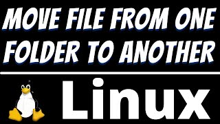 How to Enable Copy and Paste in a VirtualBox Running Ubuntu Linux [upl. by Decrem]