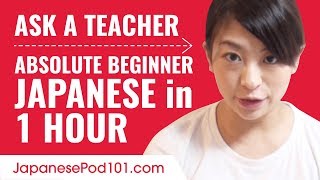 Learn Japanese in 1 Hour  ALL of Your Absolute Beginner Questions Answered [upl. by Olimac41]