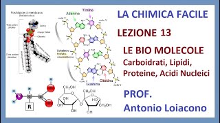 Biochimica strutturale  Lipidi [upl. by Sido786]