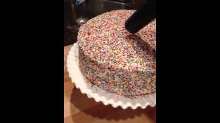 Sprinkle cake Fail [upl. by Shewmaker]