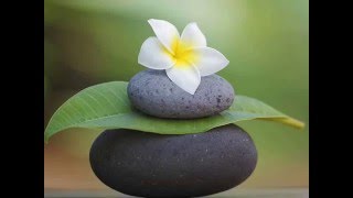 30 Min Meditation Music Relax Mind Body  Relaxing Music Spa Music Healing Music [upl. by Aihsetan]