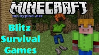 Armorer 10 gameplay  Blitz Survival Games [upl. by Aiciram]