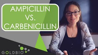 Ampicillin Vs Carbenicillin [upl. by Solakcin]