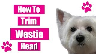 How To Trim Dogs Head  Westie Pet Grooming Tips [upl. by Melisa788]