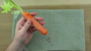 How to Make a Carrot Pipe [upl. by Cruickshank591]