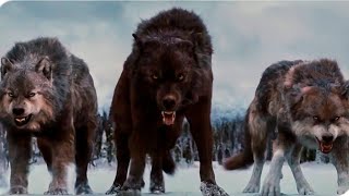 Born Among Wolves  Action Movie Full Length English   Full Action Movies HD [upl. by Paulo]