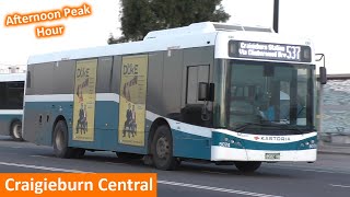 Buses at Craigieburn Central during Peak Hour  Melbourne Transport [upl. by Kassi]