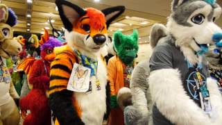 Furnal Equinox 2017 Fursuit Parade from the Inside [upl. by Pengelly]