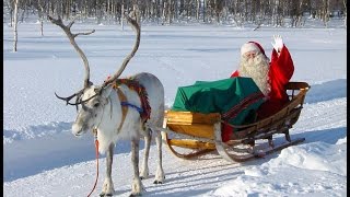 Message du Père Noël en Laponie 🦌🎅 Départ avec le renne pour la nuit de Noël  Finlande [upl. by Adnaral93]