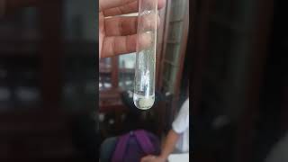 Catalase Test by using raw potato Allahabad university msc botany 3rd semester biochemistry🥔🧪 [upl. by Lynelle458]