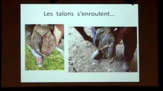 L Nizou  équimeeting maréchalerie 2015  Spécificités du pied de lâne  comment les gérer [upl. by Jacky]