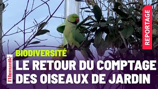 Le comptage des oiseaux de jardin de retour pour son édition 2024 [upl. by Rella809]