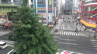 オノデンch【秋葉原ライブカメラ Akihabara live camera】 [upl. by Floris]