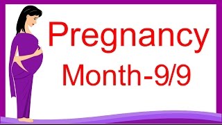 Pregnancy week by week in hindiबेबी के अंग कब बनते है  Drhome [upl. by Maurine814]