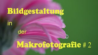 Bildgestaltung in der Makrofotografie 2 [upl. by Wight]