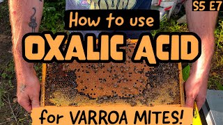 EVERYTHING You Need To Know About Oxalic Acid  HOW To Use It  Beekeeping 101 beekeeping [upl. by Adnofal394]