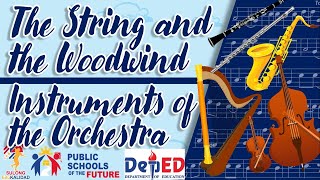 The String and the Woodwind Instruments of the Orchestra  GRADE 6 MUSIC LESSON [upl. by Airdnaxela]