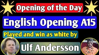 English Opening A15  Ulf Andersson 1974 chess [upl. by Ynaittirb]